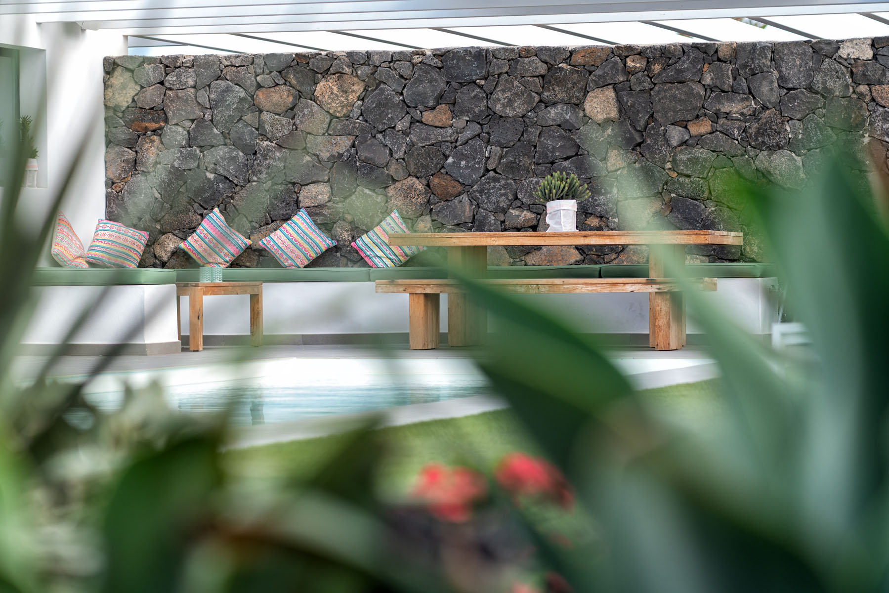 Yoga & Fermentation Retreat - Fuerteventura Edition - Imagen 3